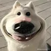 anh30370252841