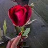 a9o33