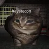hayatecon