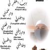 mohdmansur03