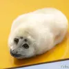 blumglus