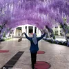 n0rshafina