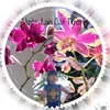 vuon.lan.cat.tuong