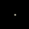 arar12456
