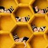 bees085