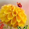 rishi_barot30
