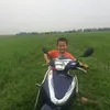 boladinhdungdz