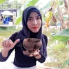 wanfareeda