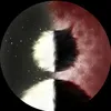 _rdw4n_20