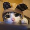 sweetkid7895