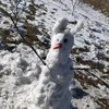 araltaeaar