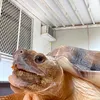 寶寶日記