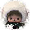 dailydiscovershopp