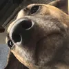 kdkd_000