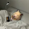 hgciuchiuchiu_811