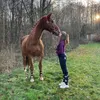 xletti_capix