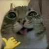 brandoningramlover28