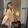 Hồng Hồng