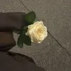 salafiyyah180