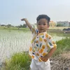 nguyenanhhao84