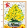 12mai.nguyen
