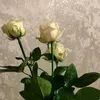 lnna_vasiluk