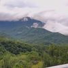 trya_2541