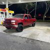 bradyn_syph