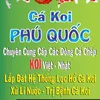 cakoiphuquoc