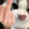 id.mmiee