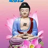 hainguyen7211