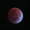 nicoboco_2_0