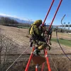 yoyo_le_lapin_perche