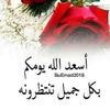 elsaydelwsfy