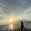 suci_330