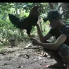 id0333340878