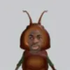 nnhiiuwu