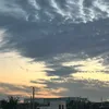 jj_xiv