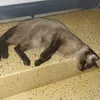 funnymehehehehe