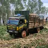 tinh_74f1