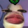 aulllajaaa00
