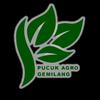 Pucuk agro gemilang