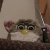 oreiny