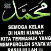 www.tiktok.com.imel
