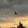 vasilisawheel
