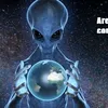 paradoxicallogic316