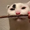 onoderalejun