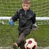 safe_hands_hadley