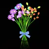 nora_9599