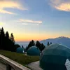 ali_molteni03